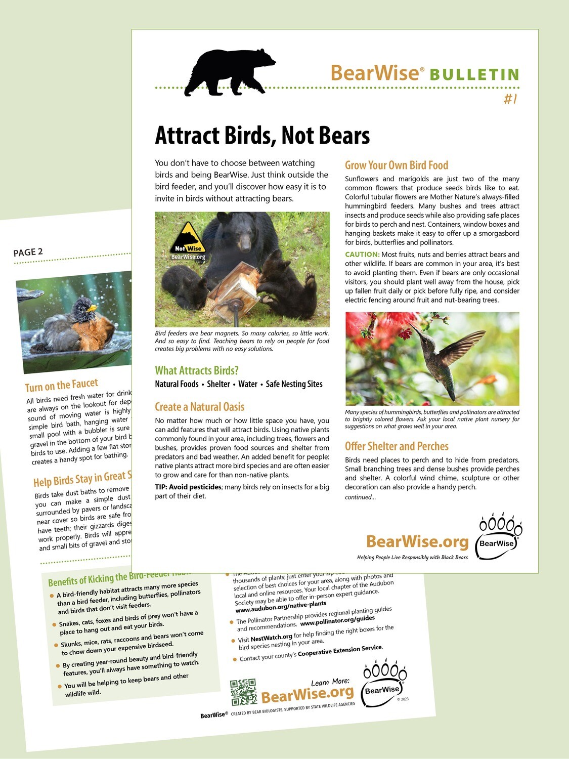 Attract Birds, Not Bears (BearWise Bulletin #1)
