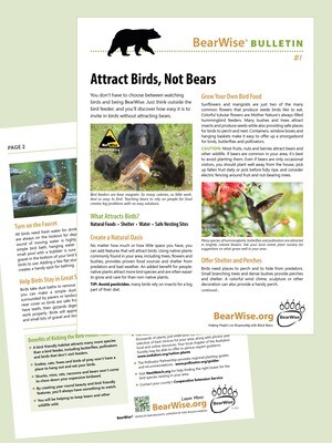 Attract Birds, Not Bears (BearWise Bulletin #1)