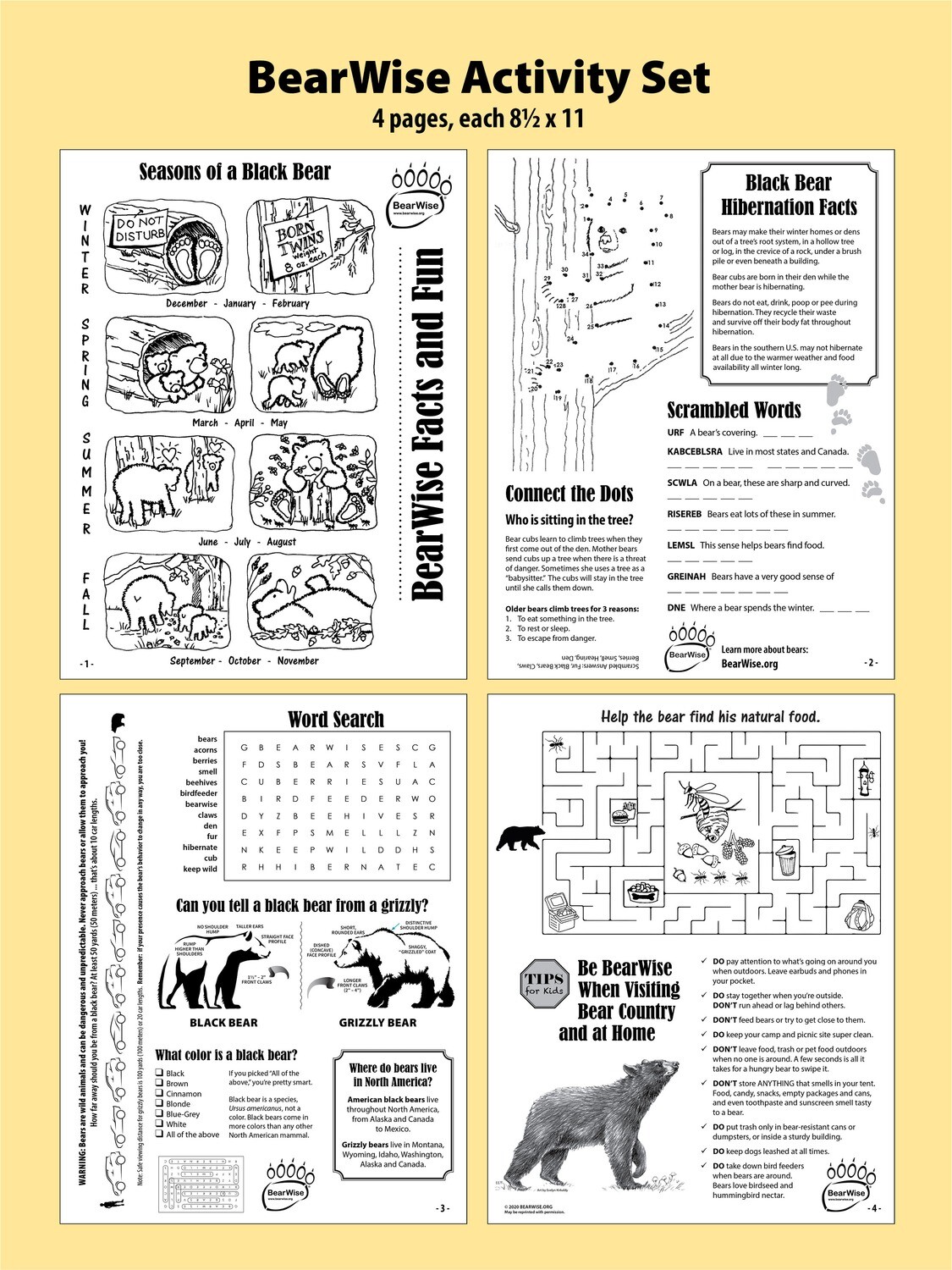 BearWise Facts & Fun 4-page Activity Set