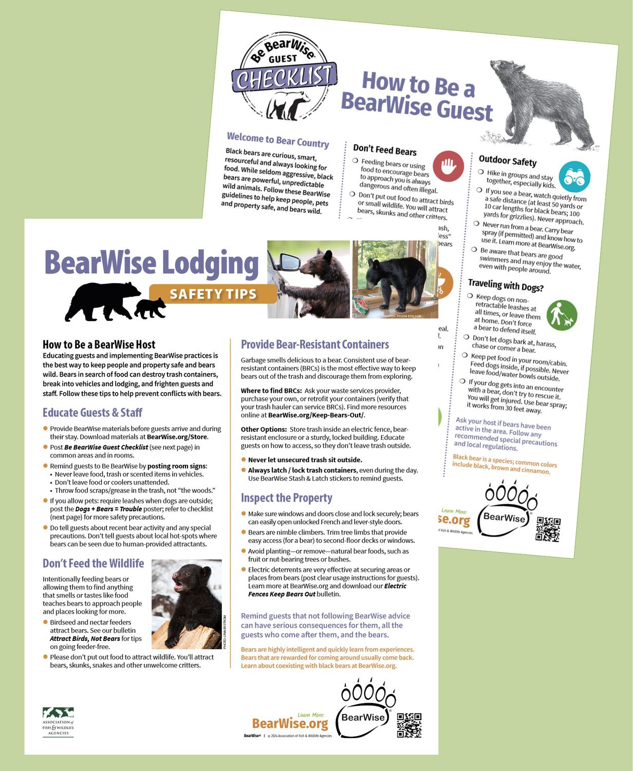 BearWise Host Set: Lodging Safety Tips & Guest Checklist