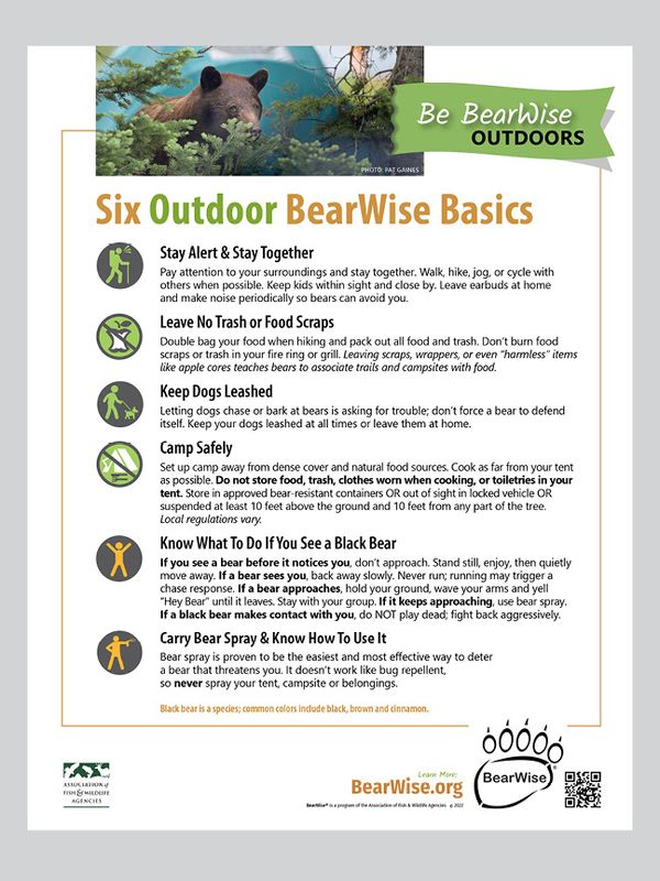 Outdoor BearWise Basics Outdoor BearWise Basics