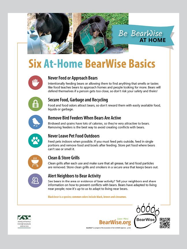 At-Home BearWise Basics