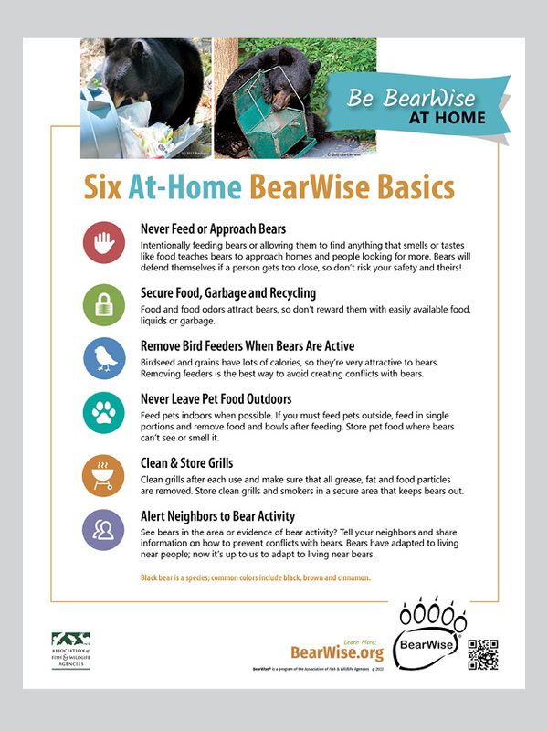 At-Home BearWise Basics At-Home BearWise Basics