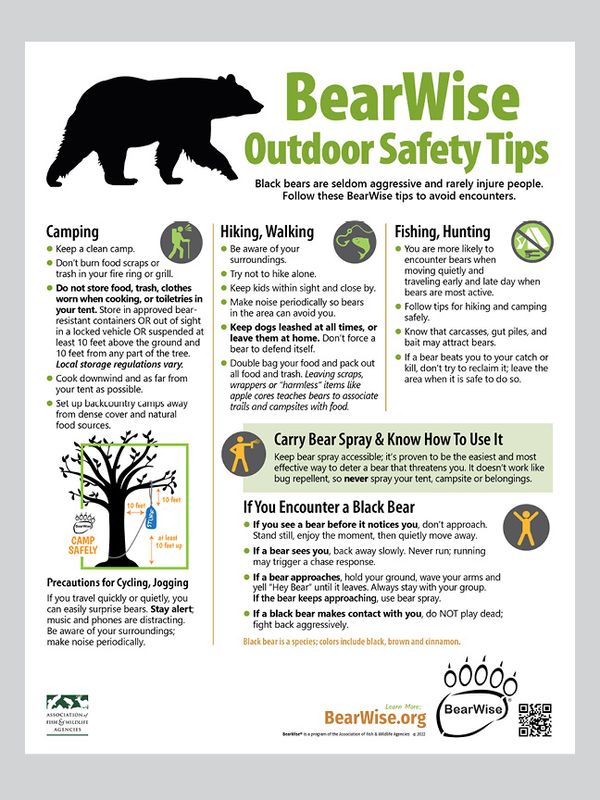BearWise Outdoor Safety Tips BearWise Outdoor Safety Tips