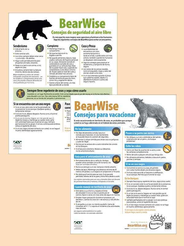 BearWise Tips in Spanish BearWise Tips in Spanish
