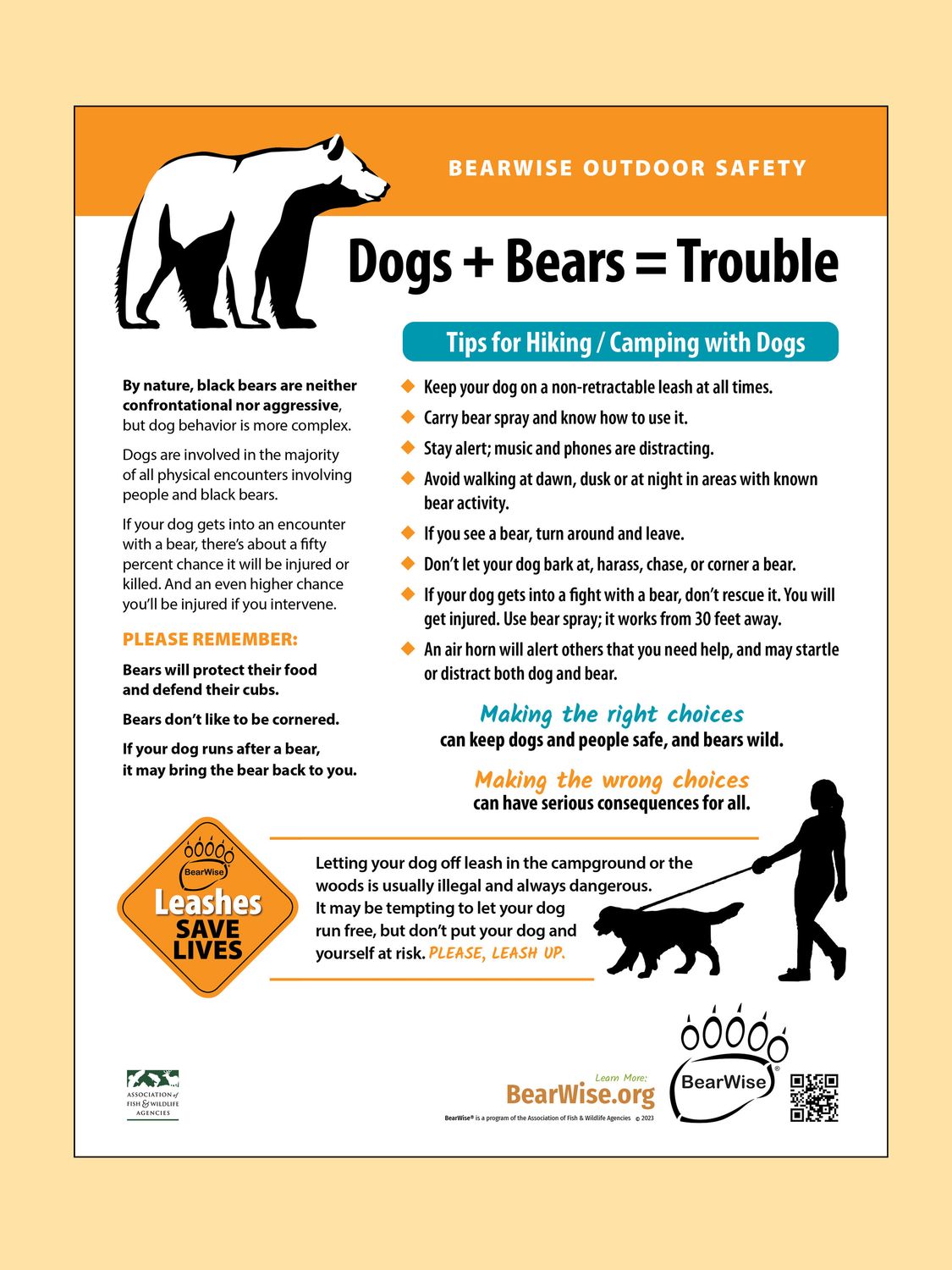 BearWise Dog Safety
