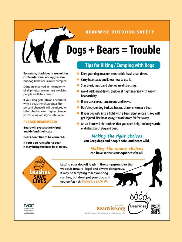 BearWise Dog Safety BearWise Dog Safety