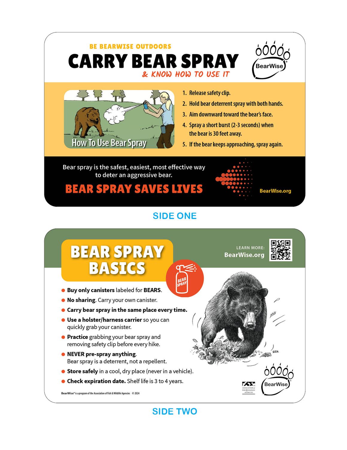 Pocket Cards: Bear Spray Basics