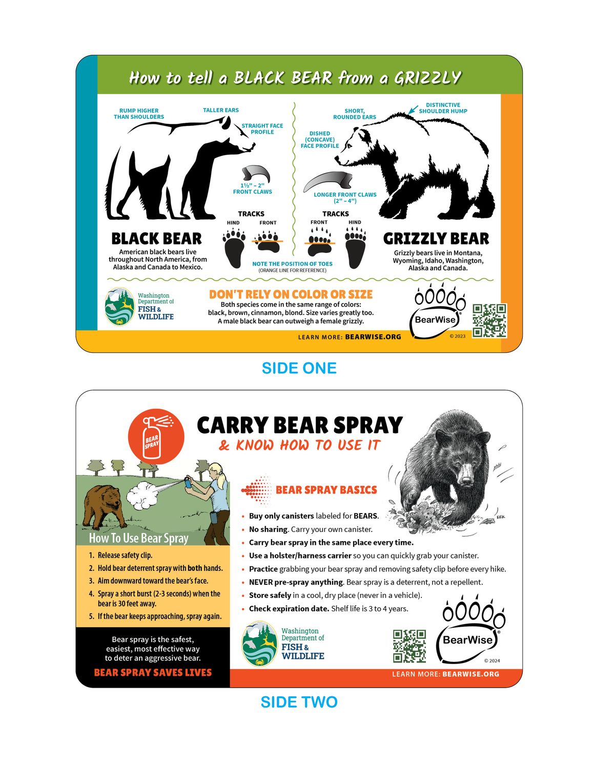 Pocket Cards: Bear I.D. / Bear Spray Basics