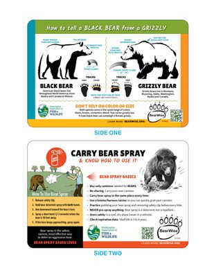 Pocket Cards: Bear I.D. / Bear Spray Basics