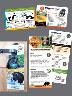 Safety Cards, Door Hangers, Coasters