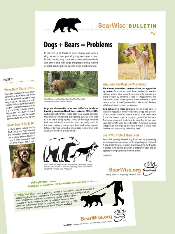 Dogs + Bears = Problems (BearWise Bulletin #2) Dogs + Bears = Problems (BearWise Bulletin #2)
