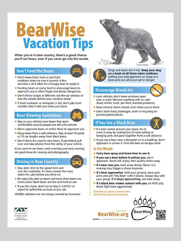 BearWise Vacation Tips BearWise Vacation Tips