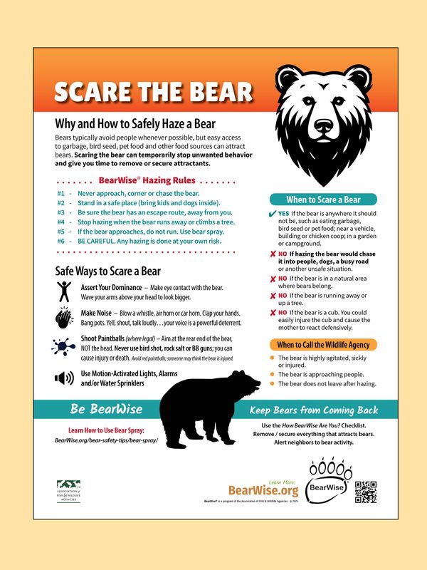 Scare the Bear Scare the Bear