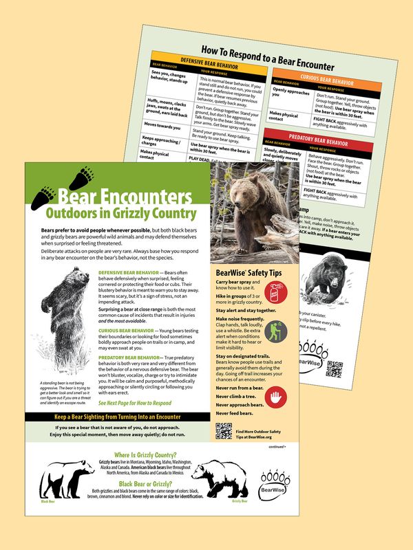 Bear Encounters - Outdoors in Grizzly Country Bear Encounters - Outdoors in Grizzly Country