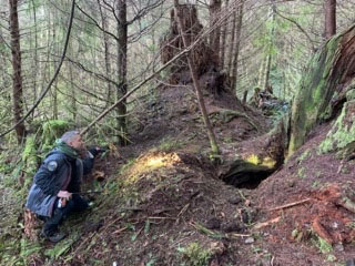 A bear den opening (photo by Rich Beausoleil)