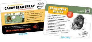 BearWise bear spray pocket cards