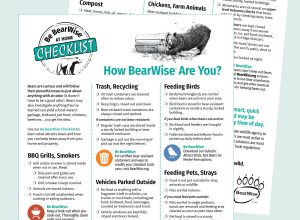 Be BearWise At-Home Checklist