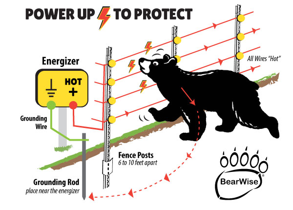 bearwise-electric-fence-diagram BearWise electric fence diagram