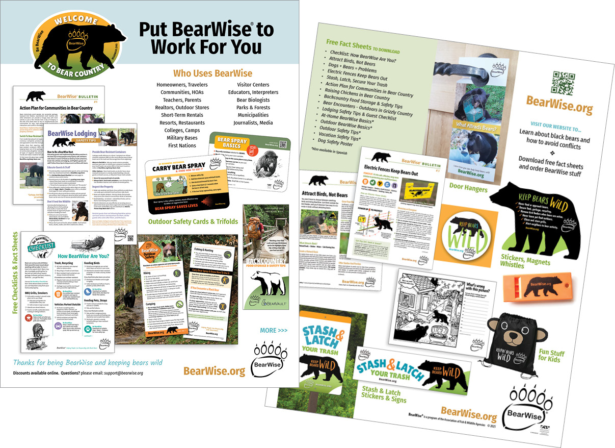 Put BearWise to Work For You (flyer, both sides)