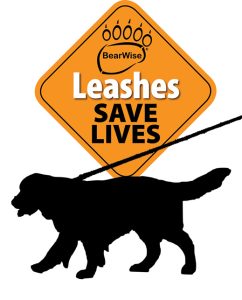 BearWise Leashes Saves Lives