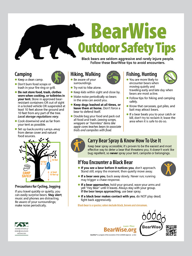 BearWise Outdoor Safety Tips