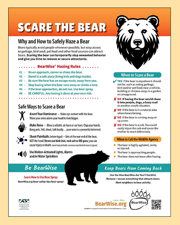 bearwise-scare-bear-store-image-email Scare the Bear poster by BearWise