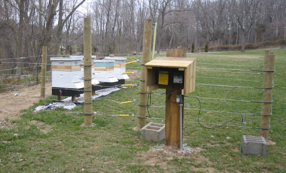 beehives protected with electric fence
