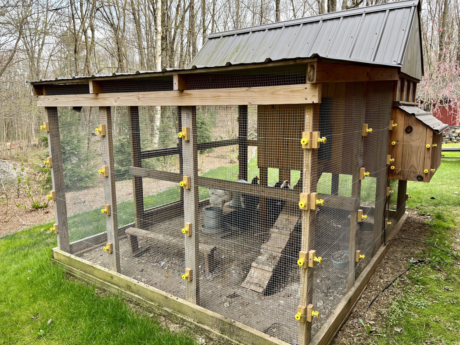 electric fence on chicken coop