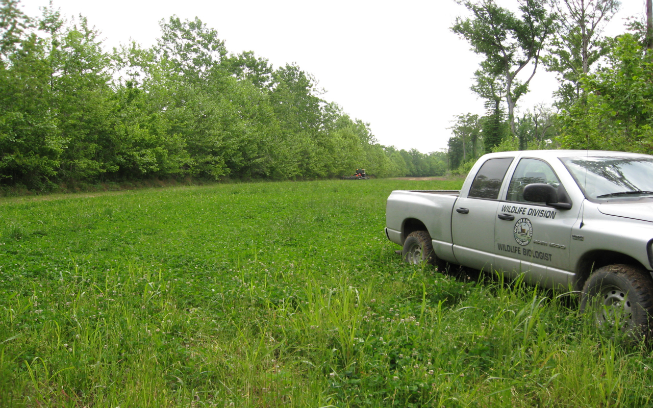clover plot