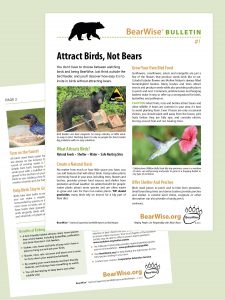 BearWise Bulletin #1