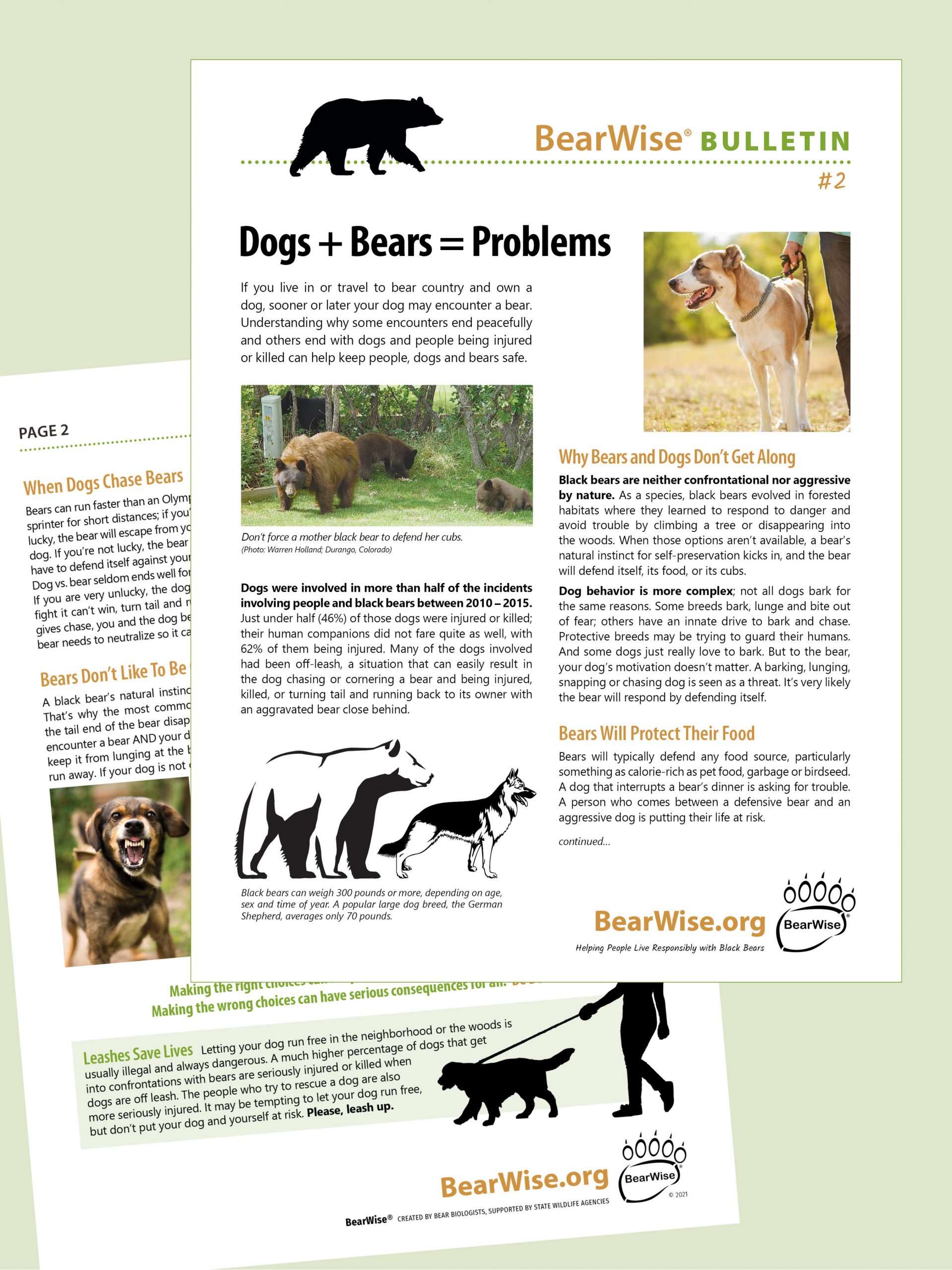 BearWise Bulletin #2