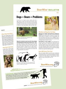 BearWise Bulletin about dogs and bears