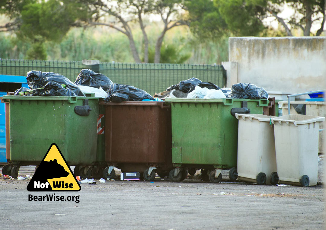 overflowing dumpters - NotWise