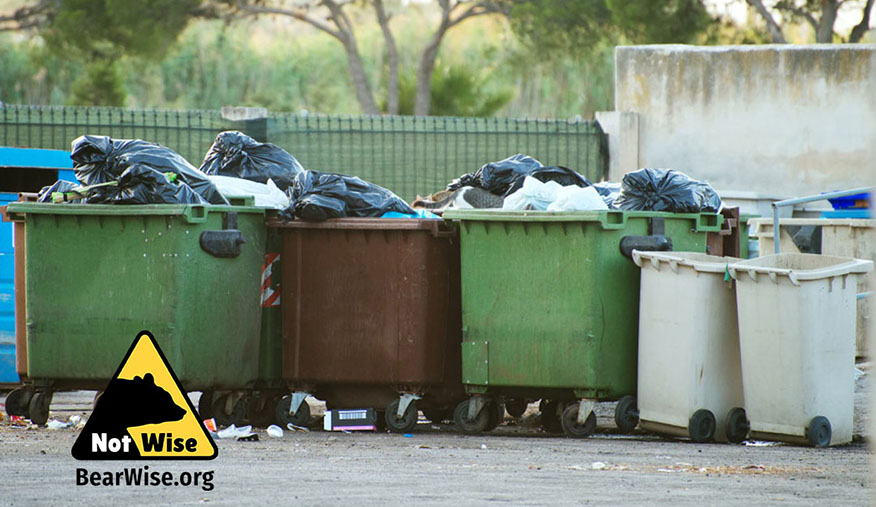 overflowing dumpsters with unsecured trash