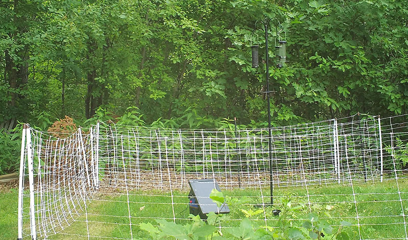 electric net fencing Electric net fencing is an effective temporary solution until a permanent system can be constructed. This Minnesota solar-powered energizer protects a bird feeder and compost bin. (Minnesota DNR)
