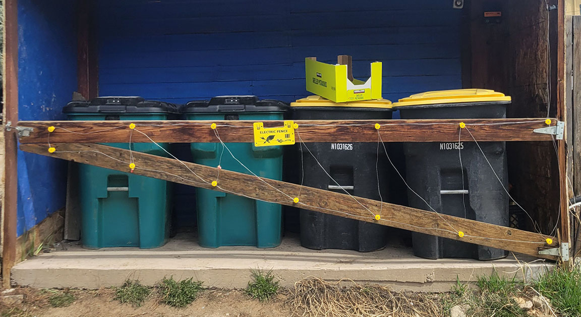 electric-trash-christy-bubenheim-web electrified gate in front of bear-resistant trash containers.