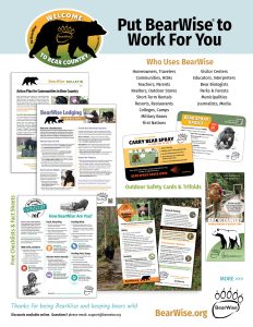 Put BearWise to Work For You (flyer, page 1)