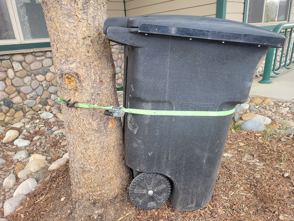 bear-resistant container secured to tree.