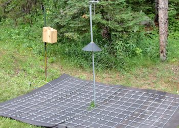 Electric mat around bird feeder